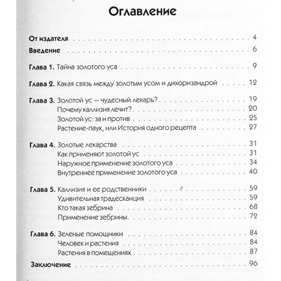 Александр Кородецкий "Золотой ус против 100 болезней"