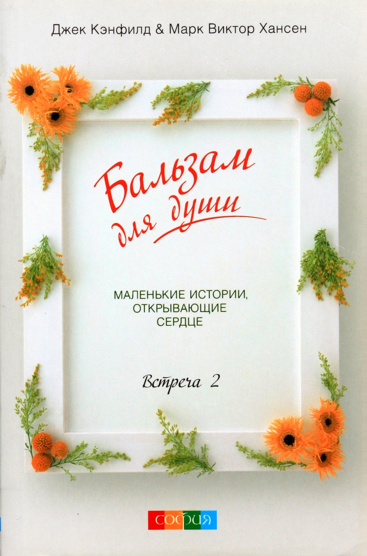 Jackas Canfieldas „Balzamas sielai. Susitikimas 2“