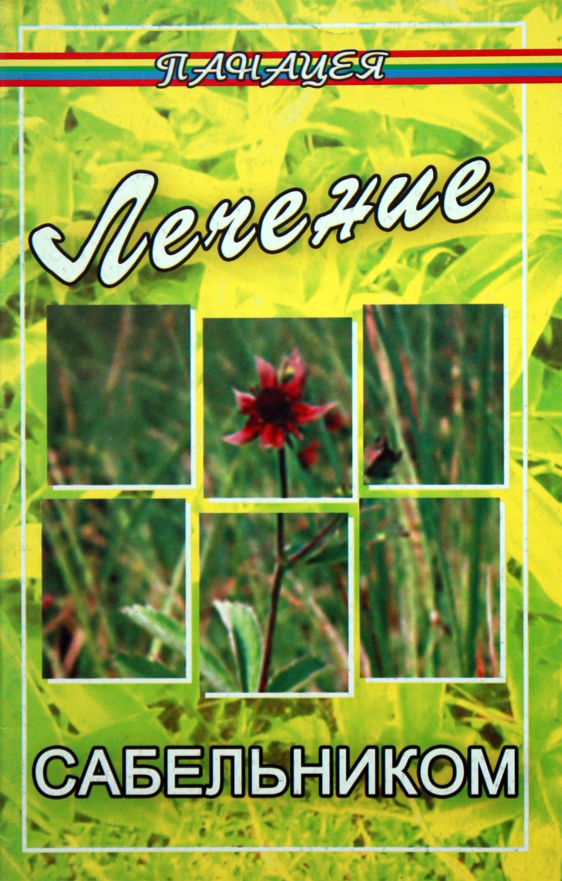 Michailas Burovas „Gydymas kinrože“