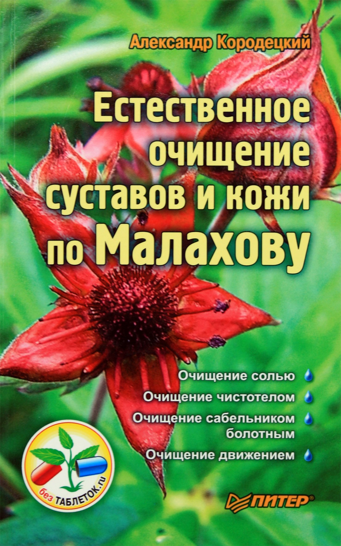 Aleksandras Korodetskis „Natūralus sąnarių ir odos valymas pagal Malachovą“