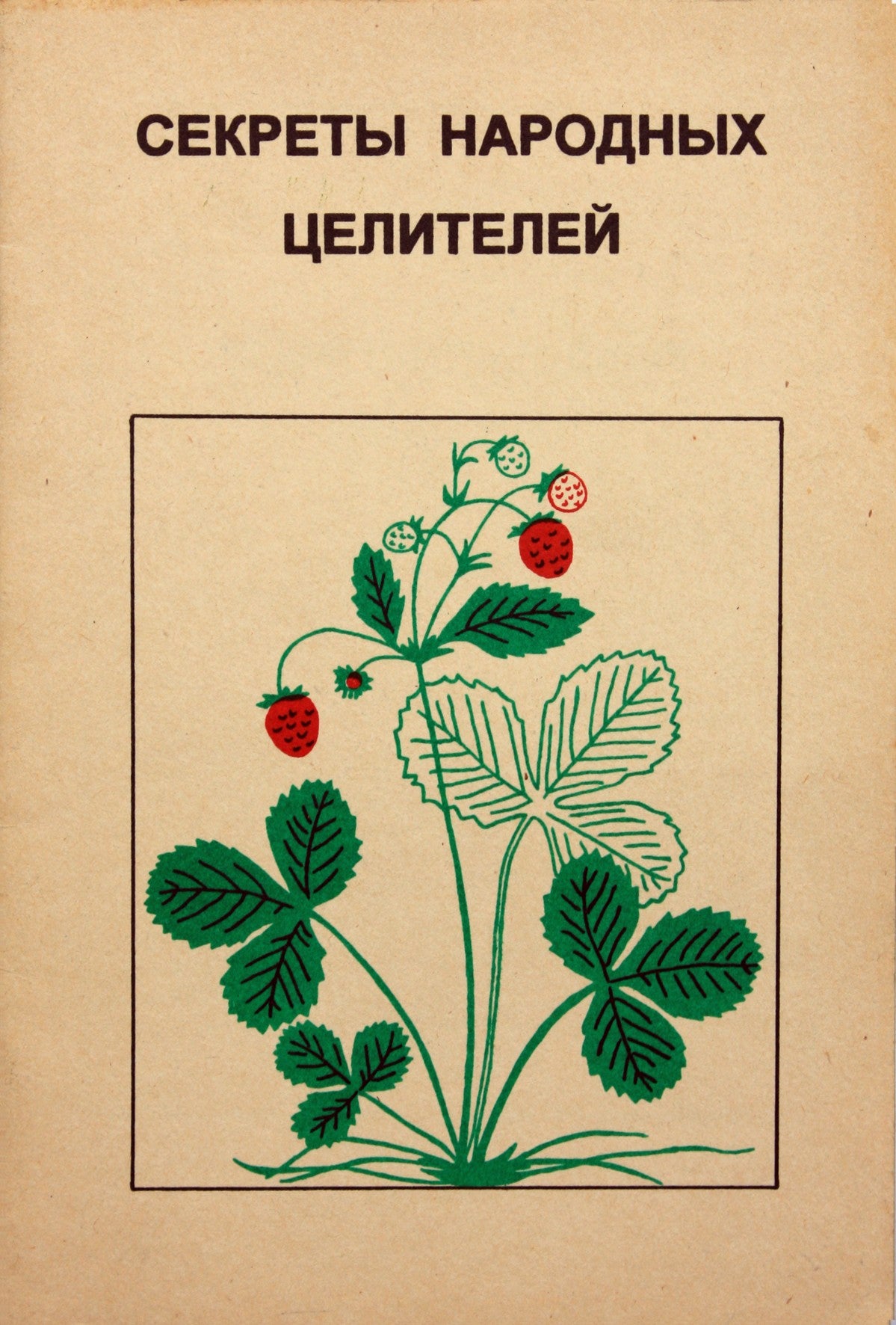 Tradicinių gydytojų paslaptys