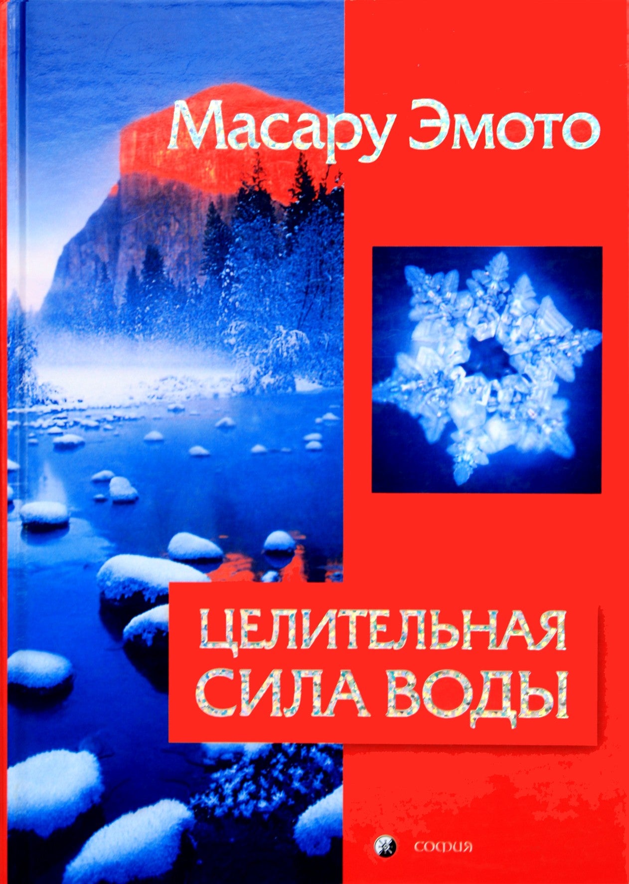 Masaru Emoto „Gydomoji vandens galia“