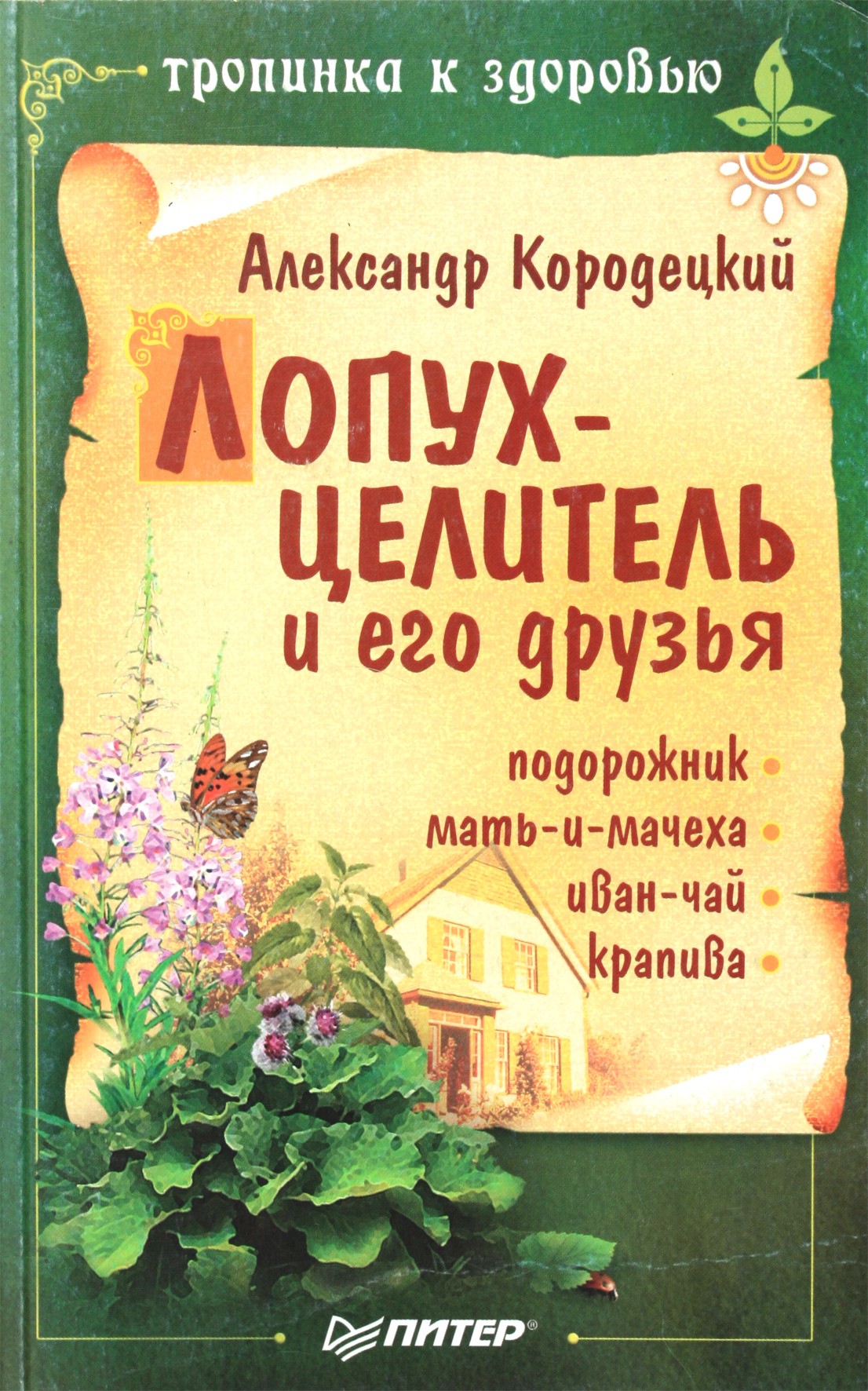 Александр Кородецкий "Лопух-целитель и его друзья"
