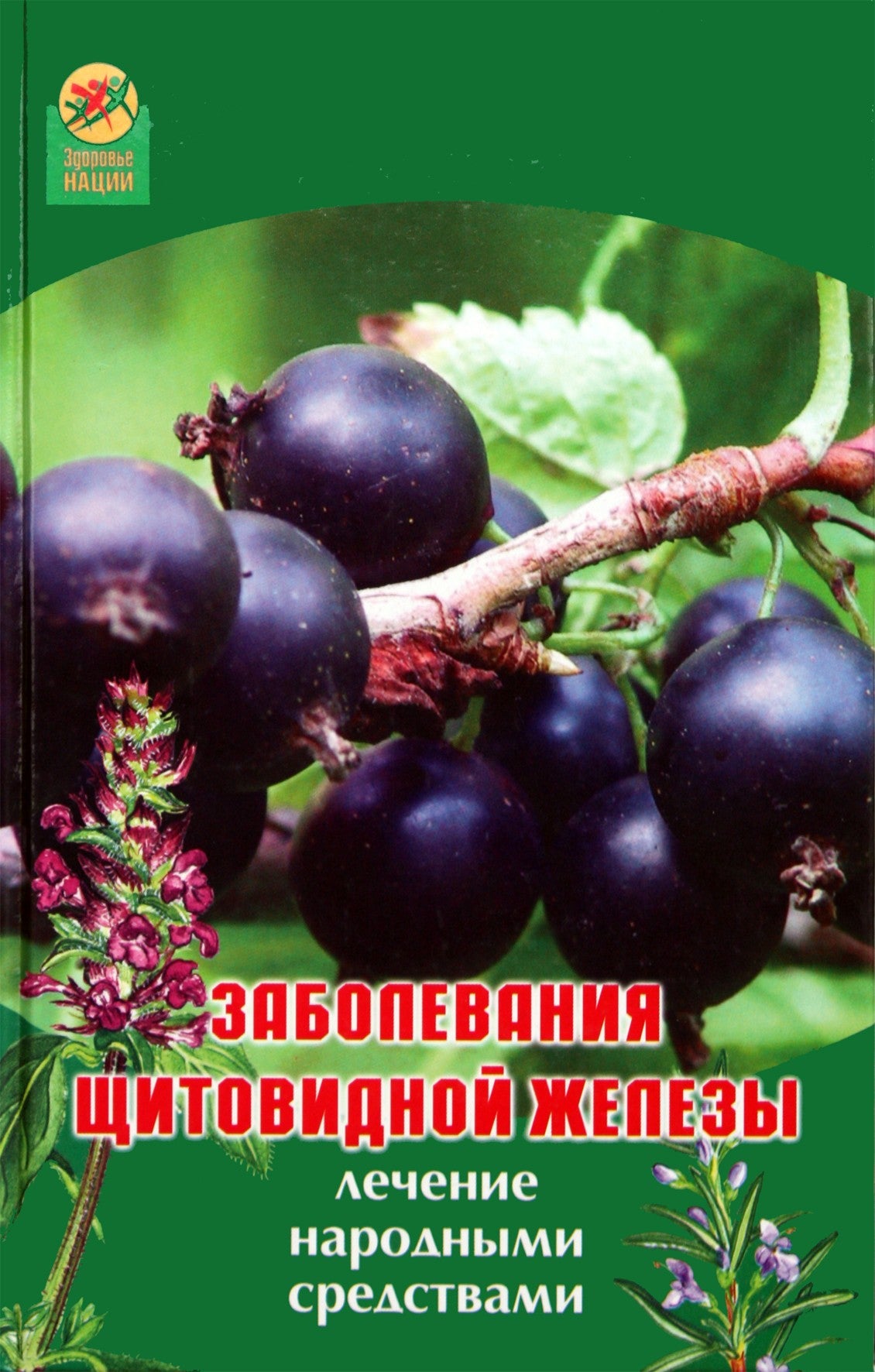А. Максимова "Заболевания щитовидной железы: лечение народными средствами"
