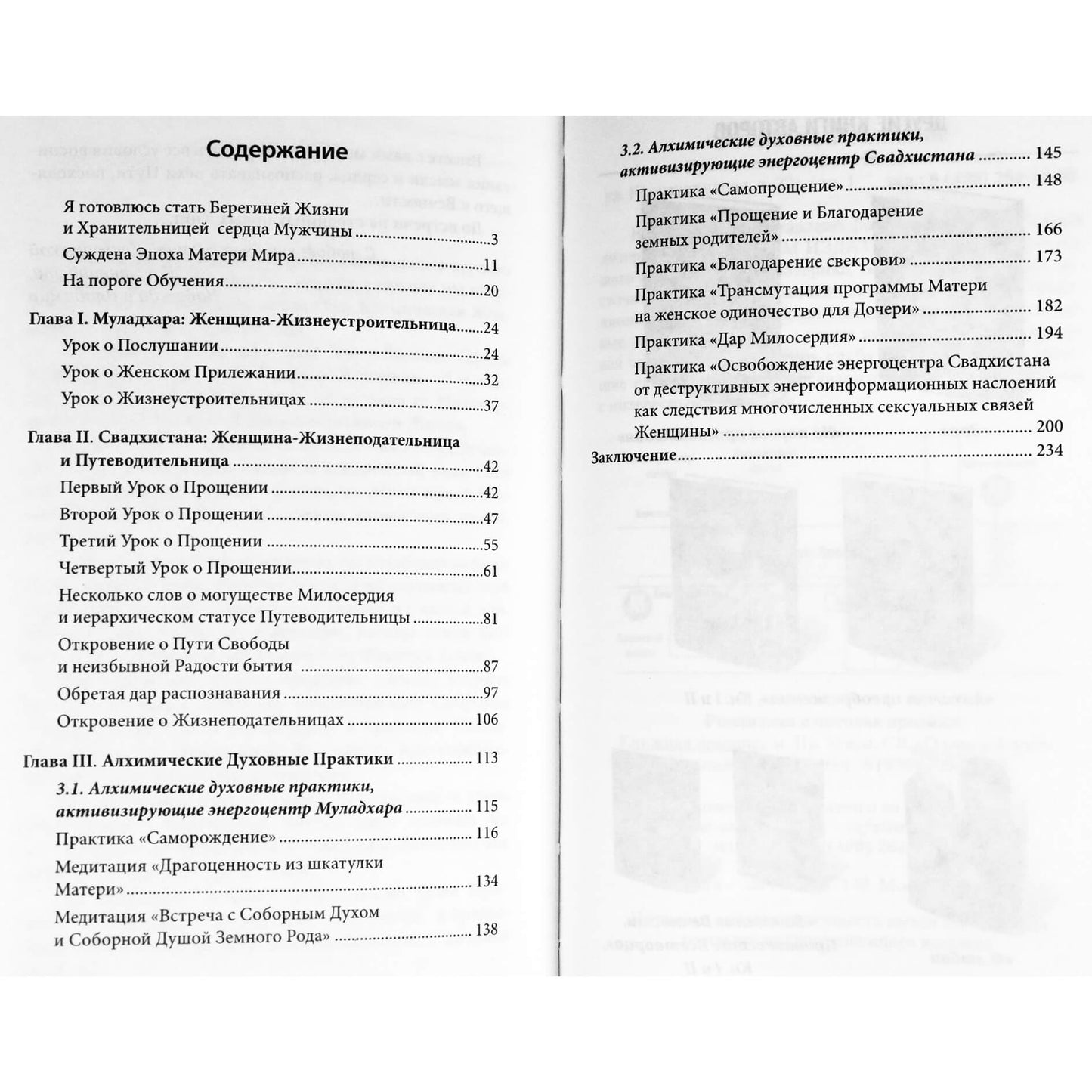 Domaševa-Samoilenko "Moteris, kunigas, deivė - pabudimas" 1 knyga