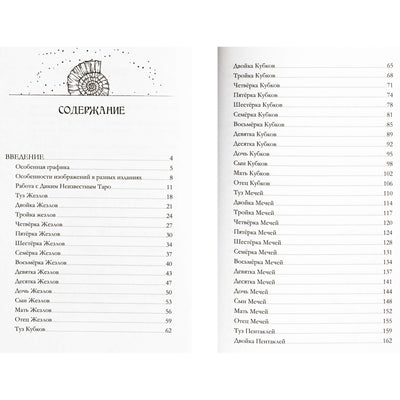 Александра Семенова "Путешествие в мир дикого неизвестного Таро"