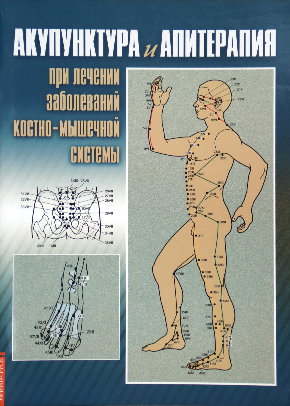 Nina Usakova "Akupunktūra ir apiterapija gydant raumenų ir kaulų sistemos ligas"