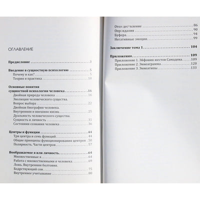 Idris Laor "Siela tarp kūno ir dvasios. Esminės psichologijos fragmentai"