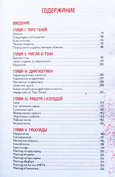 Anastasija Gollov „Šešėlių taro. Kita prognozių pusė“