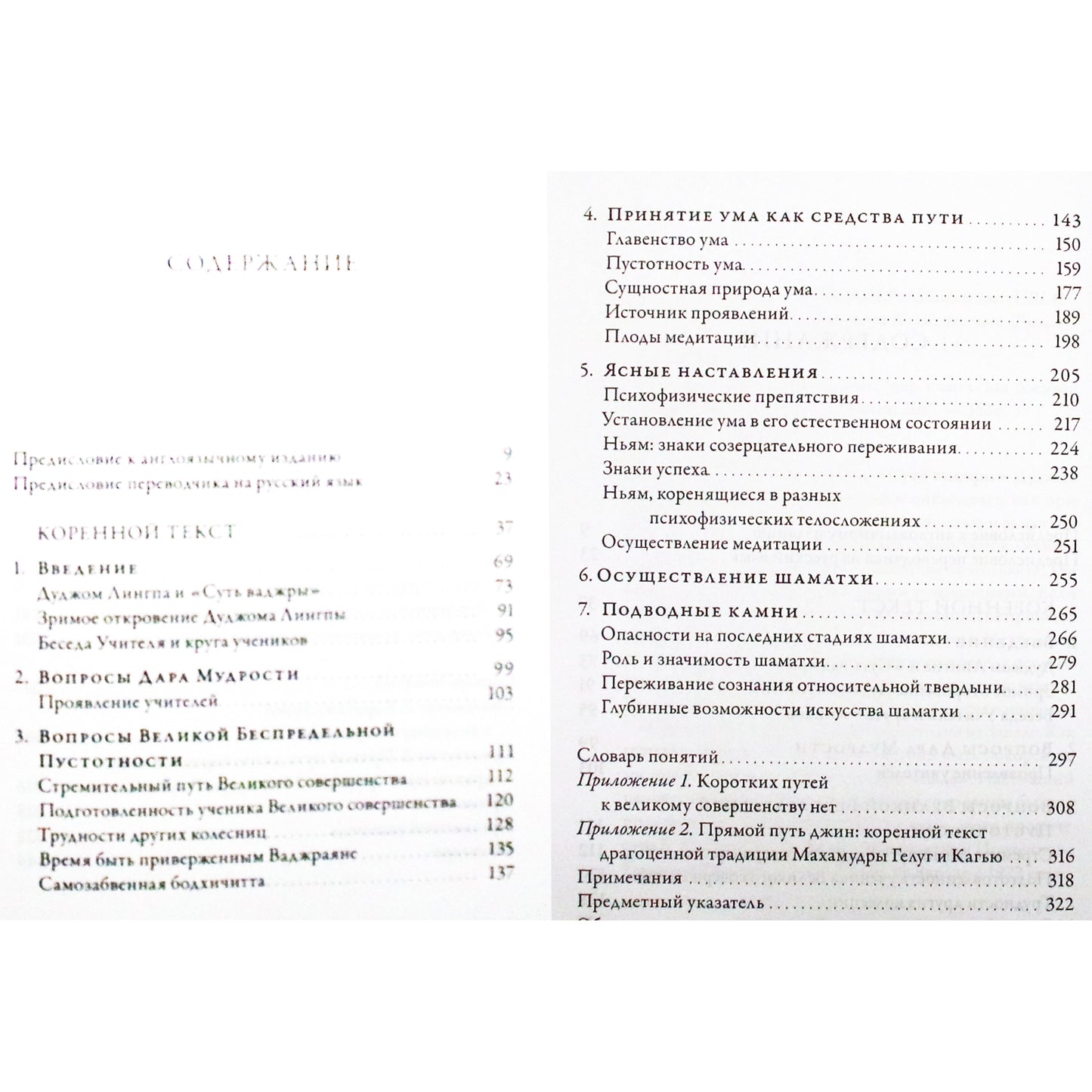 Allenas Wallace'as "Proto tyla. Kontempliacinės ramybės mokymas, iš Dudjomo Lingpos proto lobyno. Vadžros esmė"