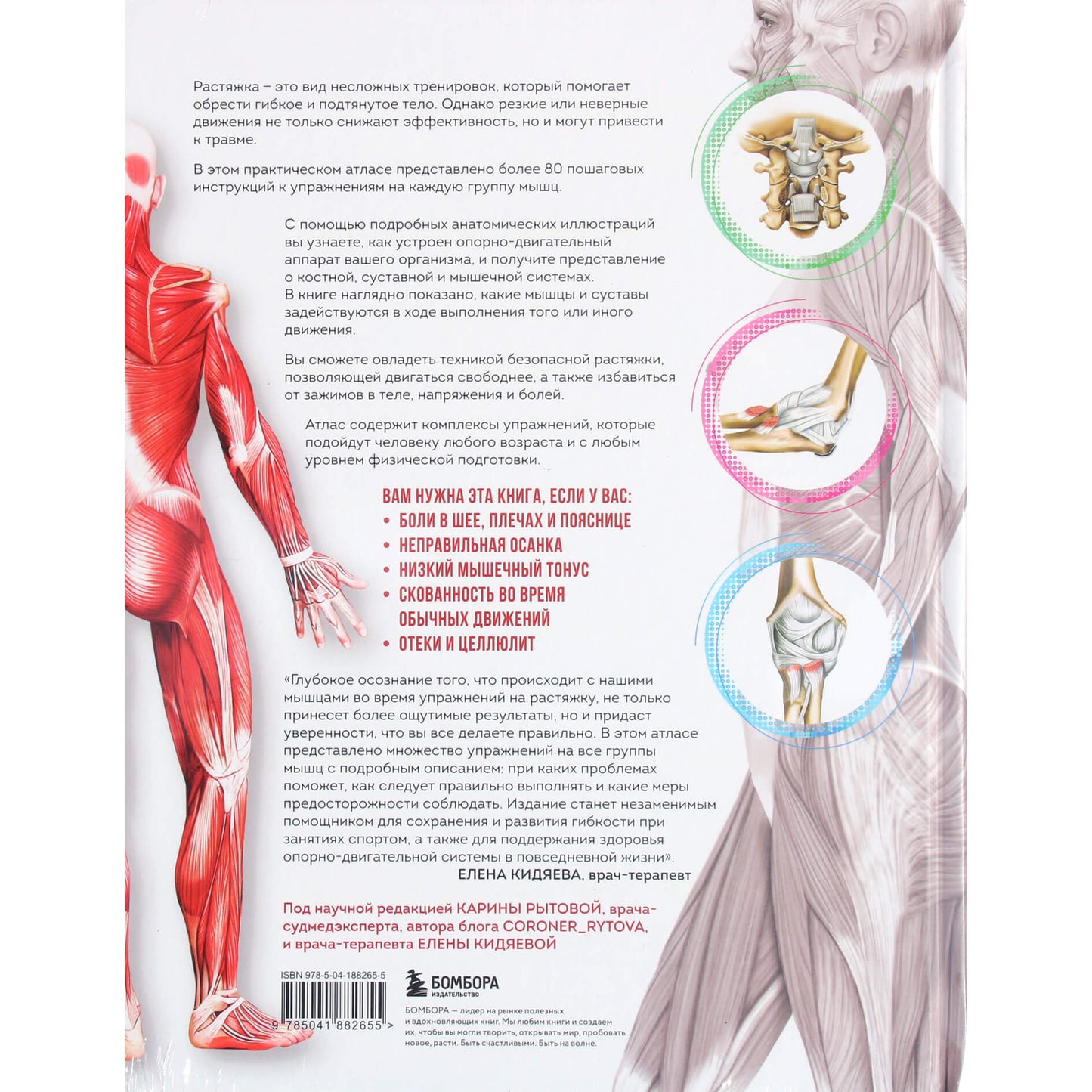 Анки Майер "Анатомия растяжки. Иллюстрированное руководство для развития гибкости мышц и подвижности суставов"
