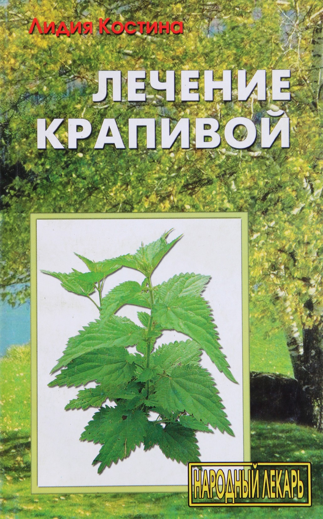 Lidija Kostina „Gydymas dilgėlėmis“