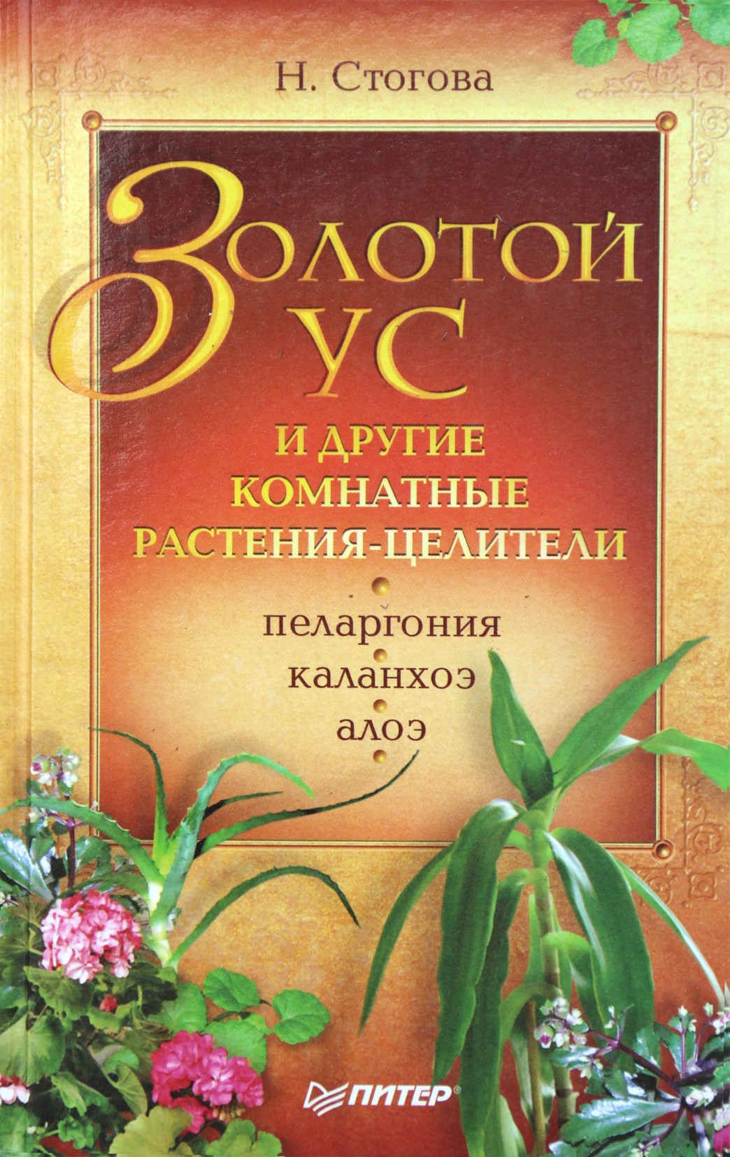 Nadežda Stogova „Auksiniai ūsai ir kiti kambariniai augalai – gydytojai“