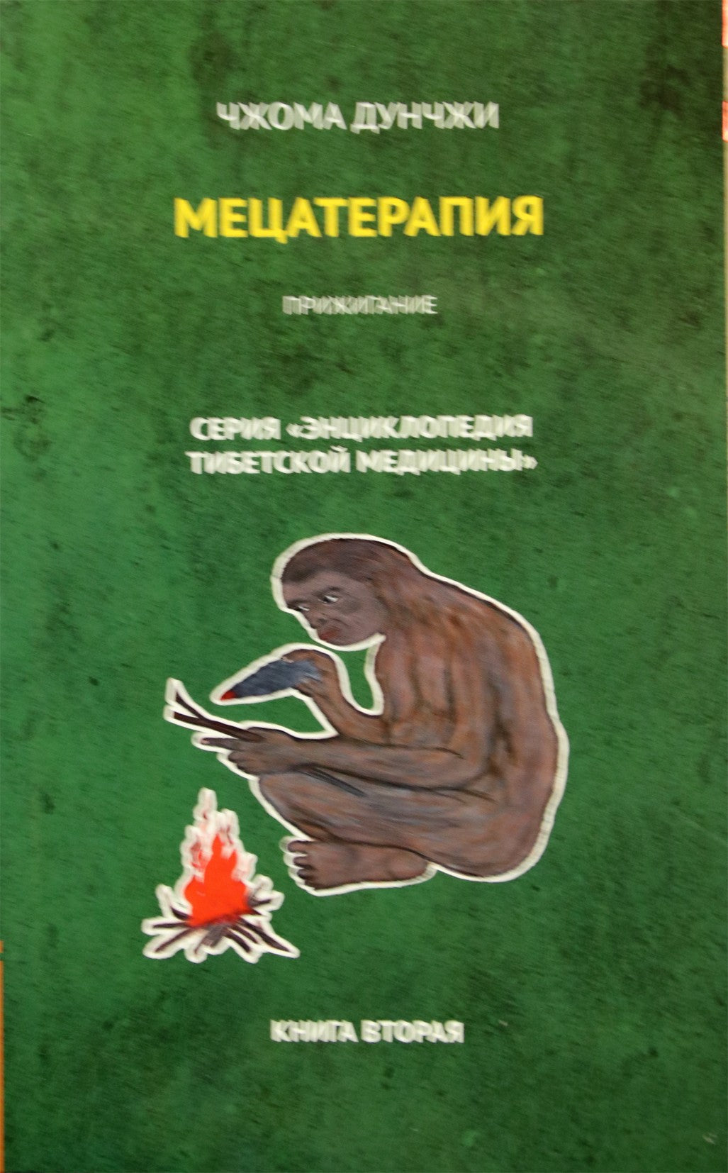 Zhoma Dongzhi "Metsaterapija. Moksibusija" 2 knyga