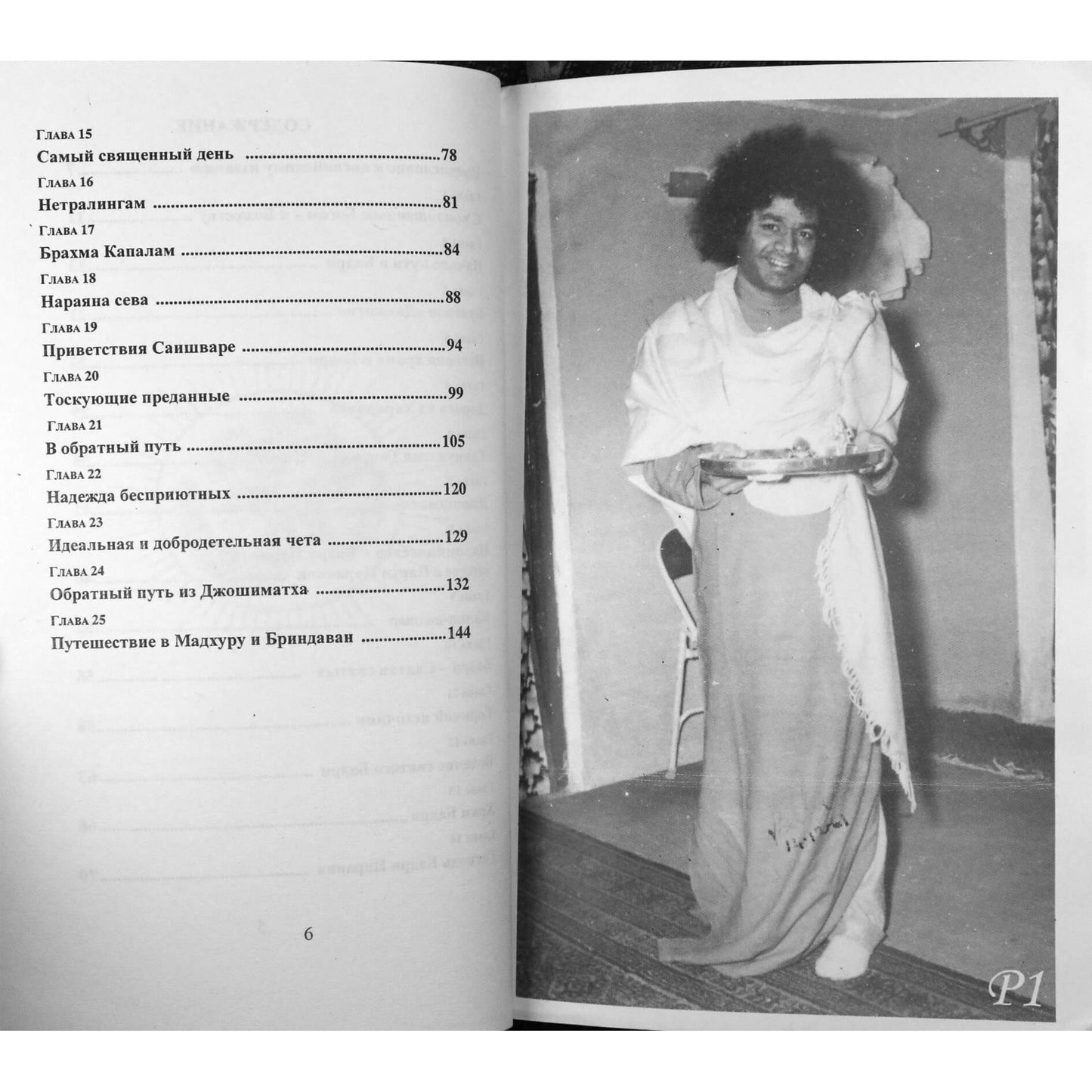 Srimati Vijayamma "Badri Yatra. Piligriminė kelionė į Badri"