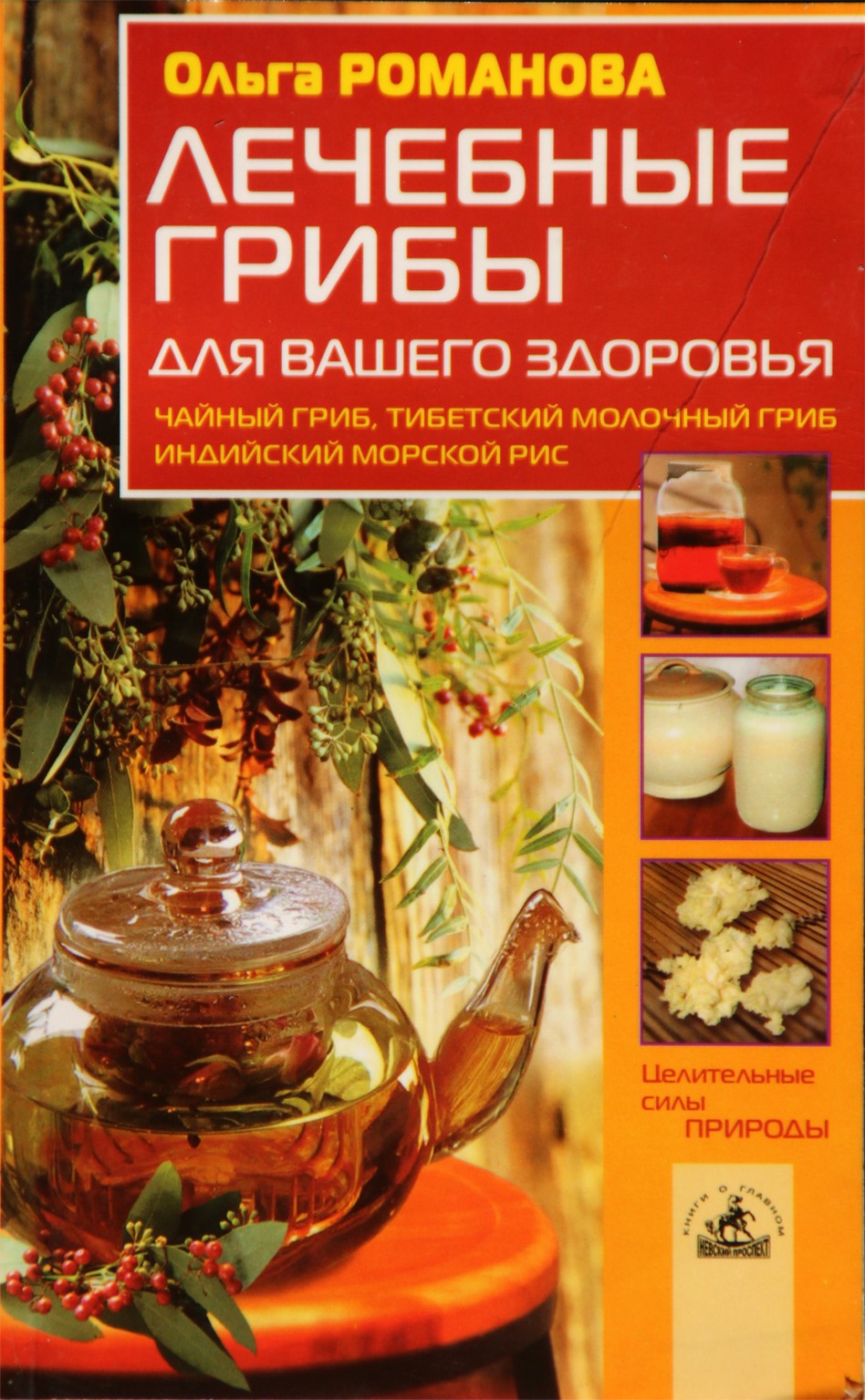 Olga Romanova „Vaistiniai grybai jūsų sveikatai“