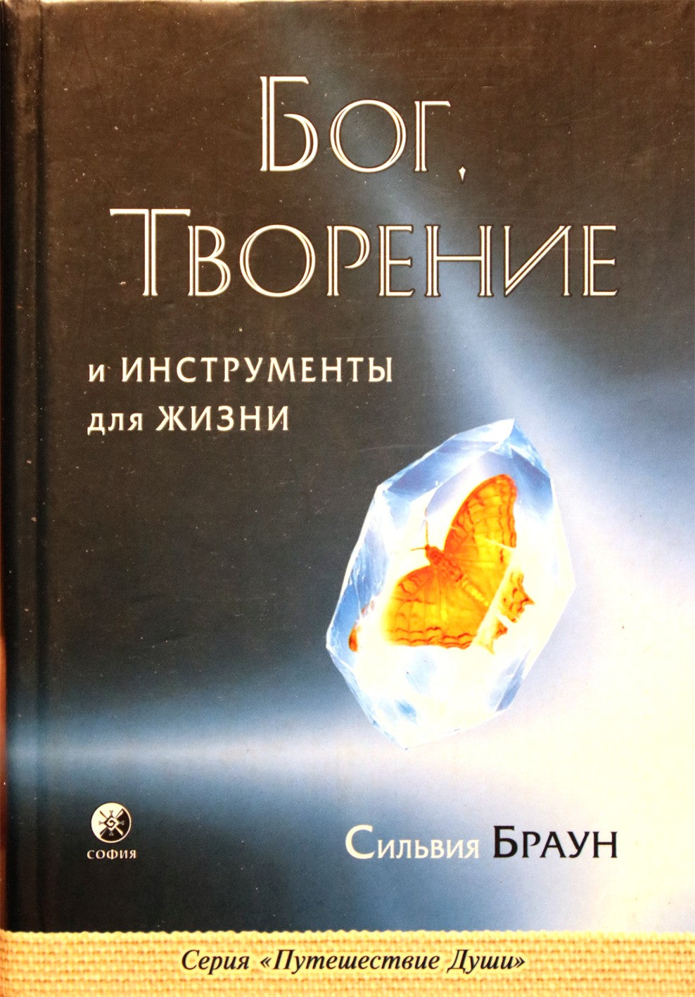 Sylvia Brown „Dievas, kūryba ir gyvenimo įrankiai“