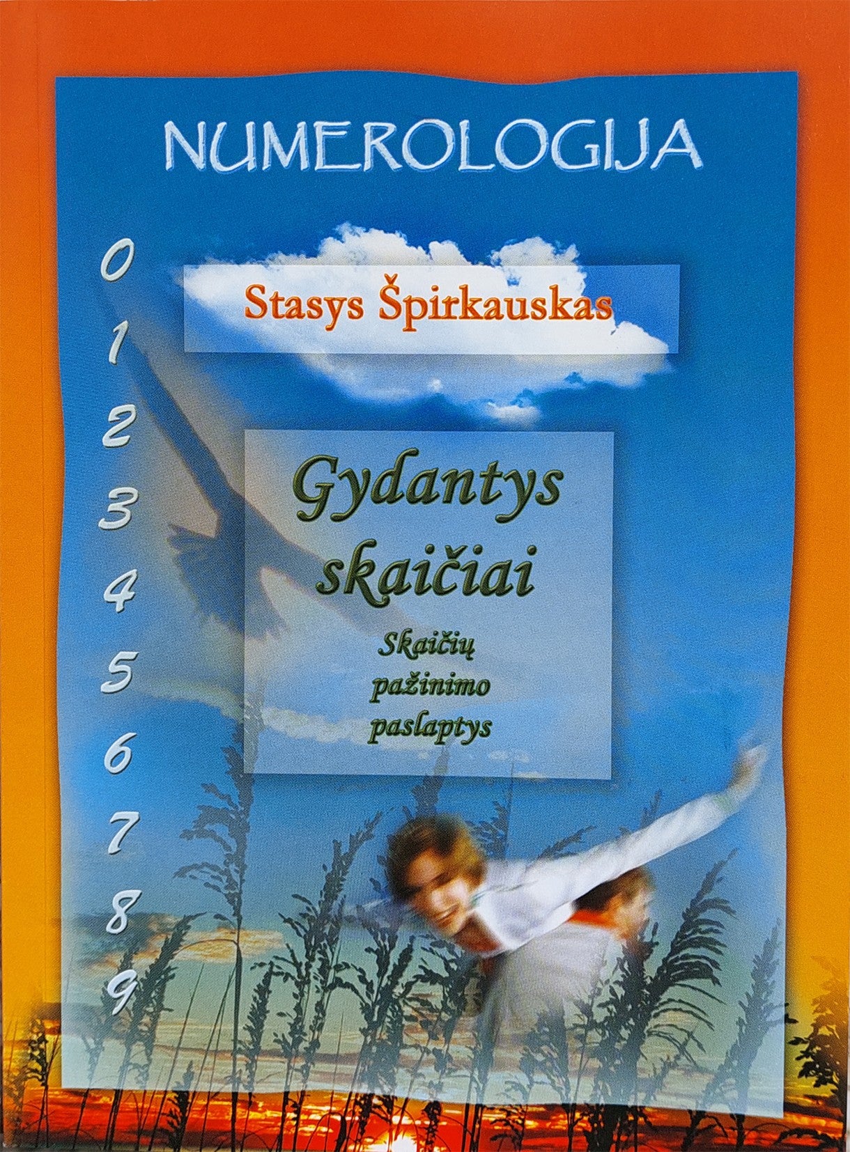 Stasys Špirкаuskas "Gydantys skaičiai. Skaičių pažinimo paslaptys"