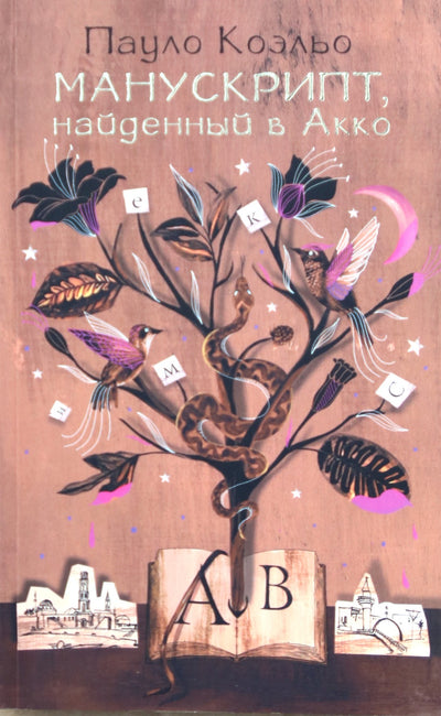 Paulo Coelho „Rankraštis rastas Akre“