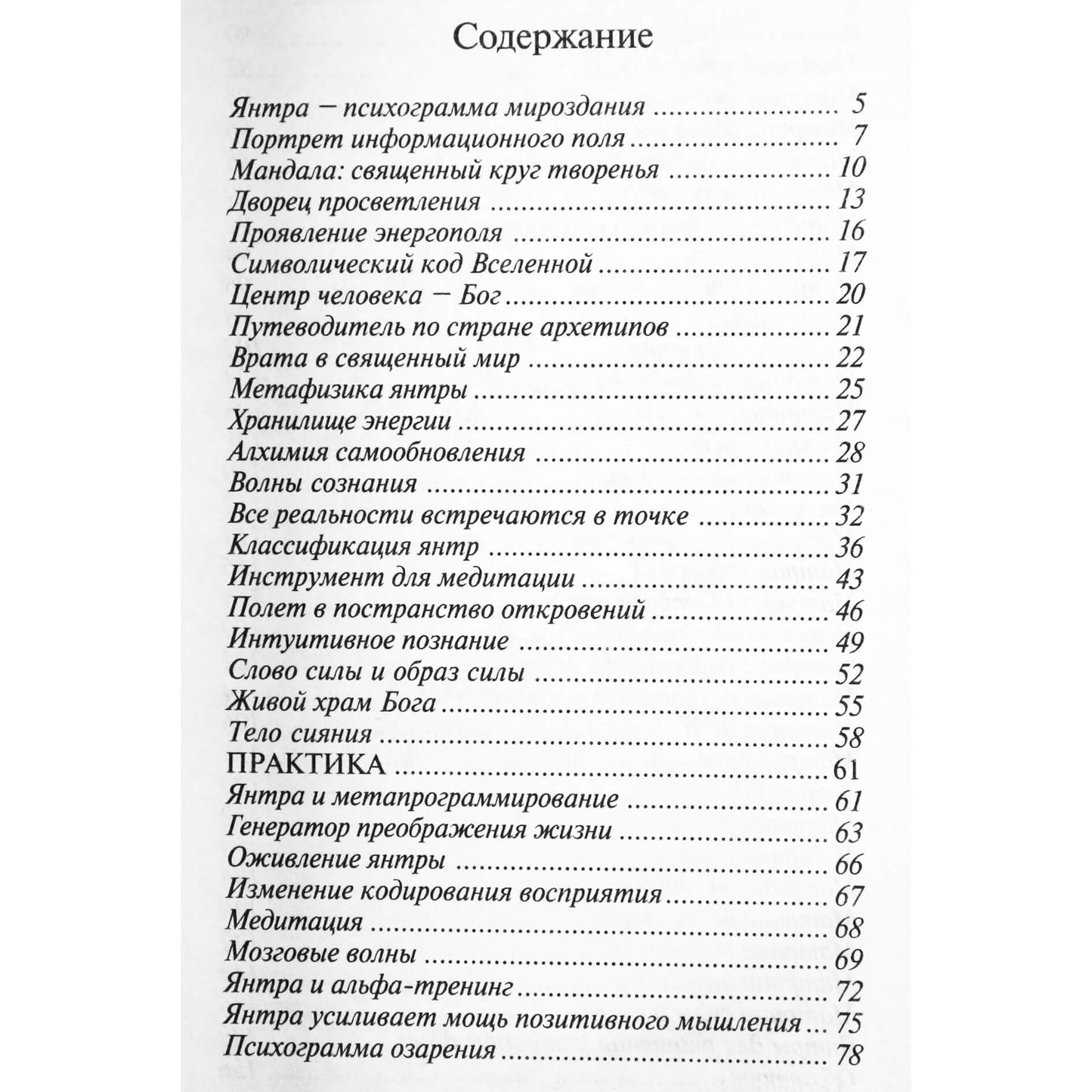 Сан Лайт "Матрицы успеха"