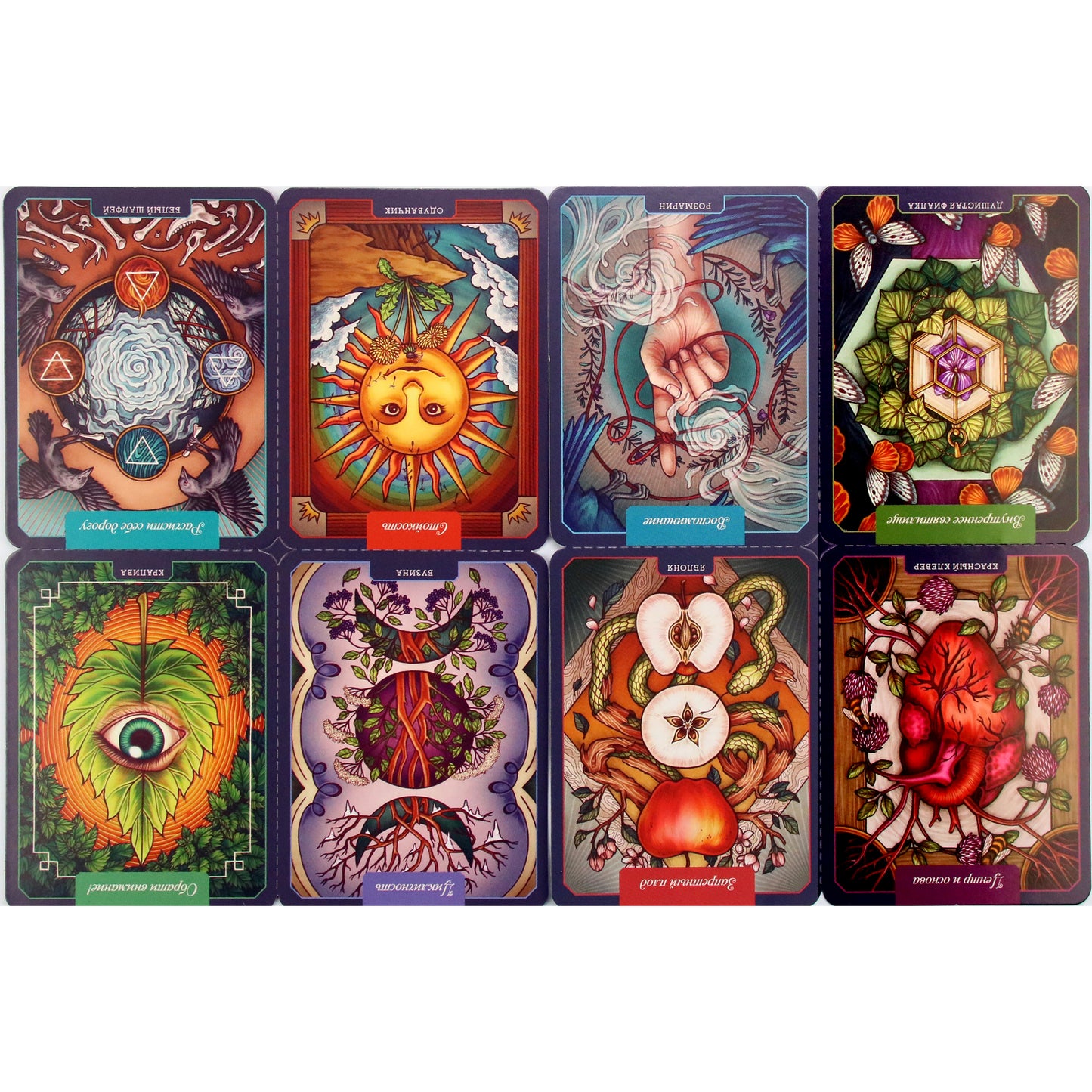 Майя Толл "Магический гербарий. Вдохновляющие послания и ритуалы от 36 волшебных растений (книга-оракул и 36 карт для гадания)"