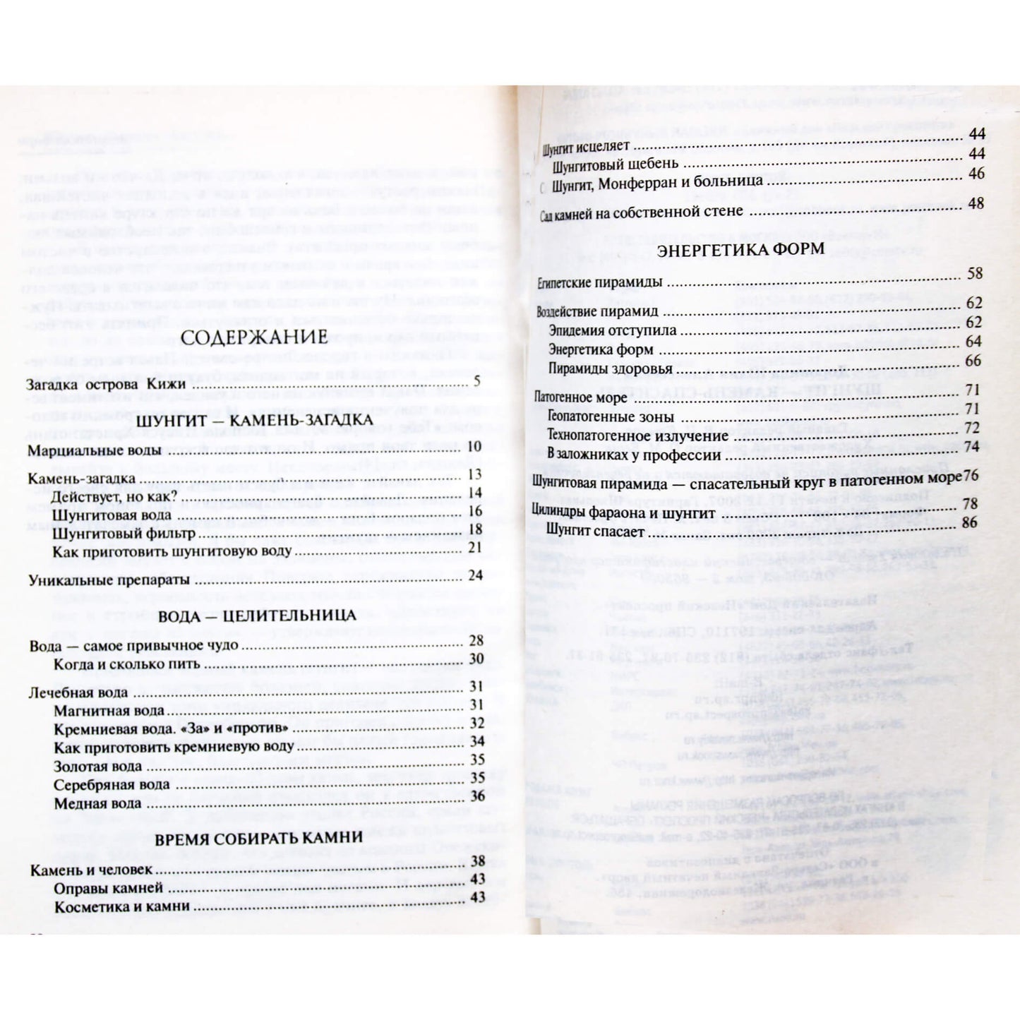 Doroninas "Šungitas - gelbėjimo akmuo"