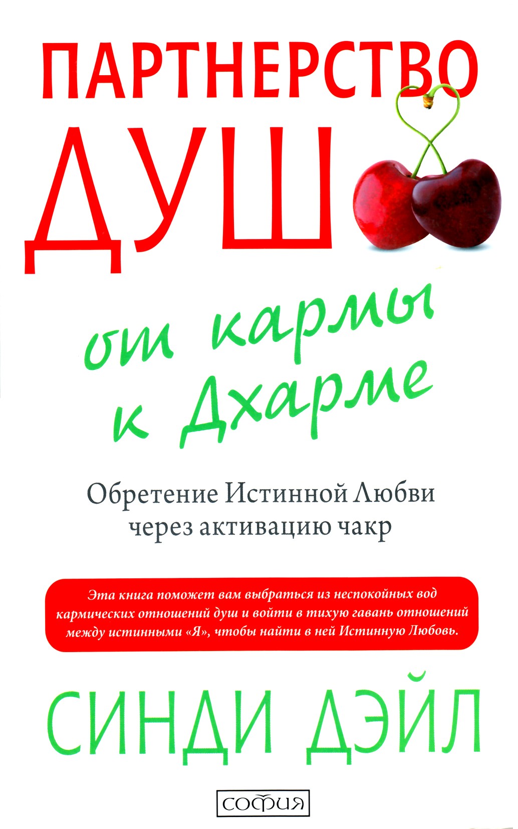 Cindy Dale „Sielų partnerystė: nuo karmos iki dharmos“