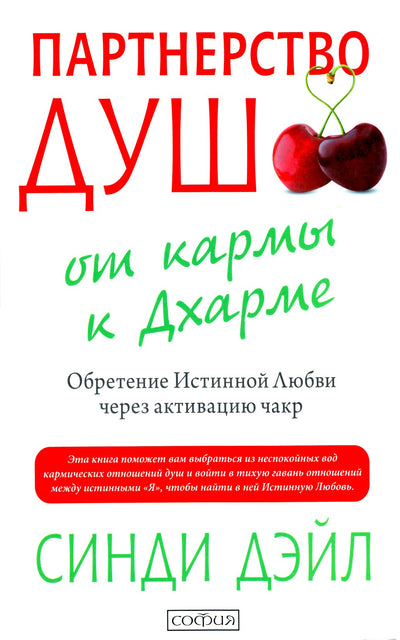Cindy Dale „Sielų partnerystė: nuo karmos iki dharmos“