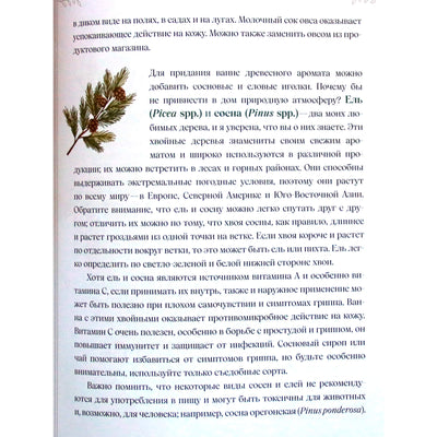 Эбони Георге "Травы. Магические запасы. Иллюстрированное руководство по сбору и заготовке волшебных растений"