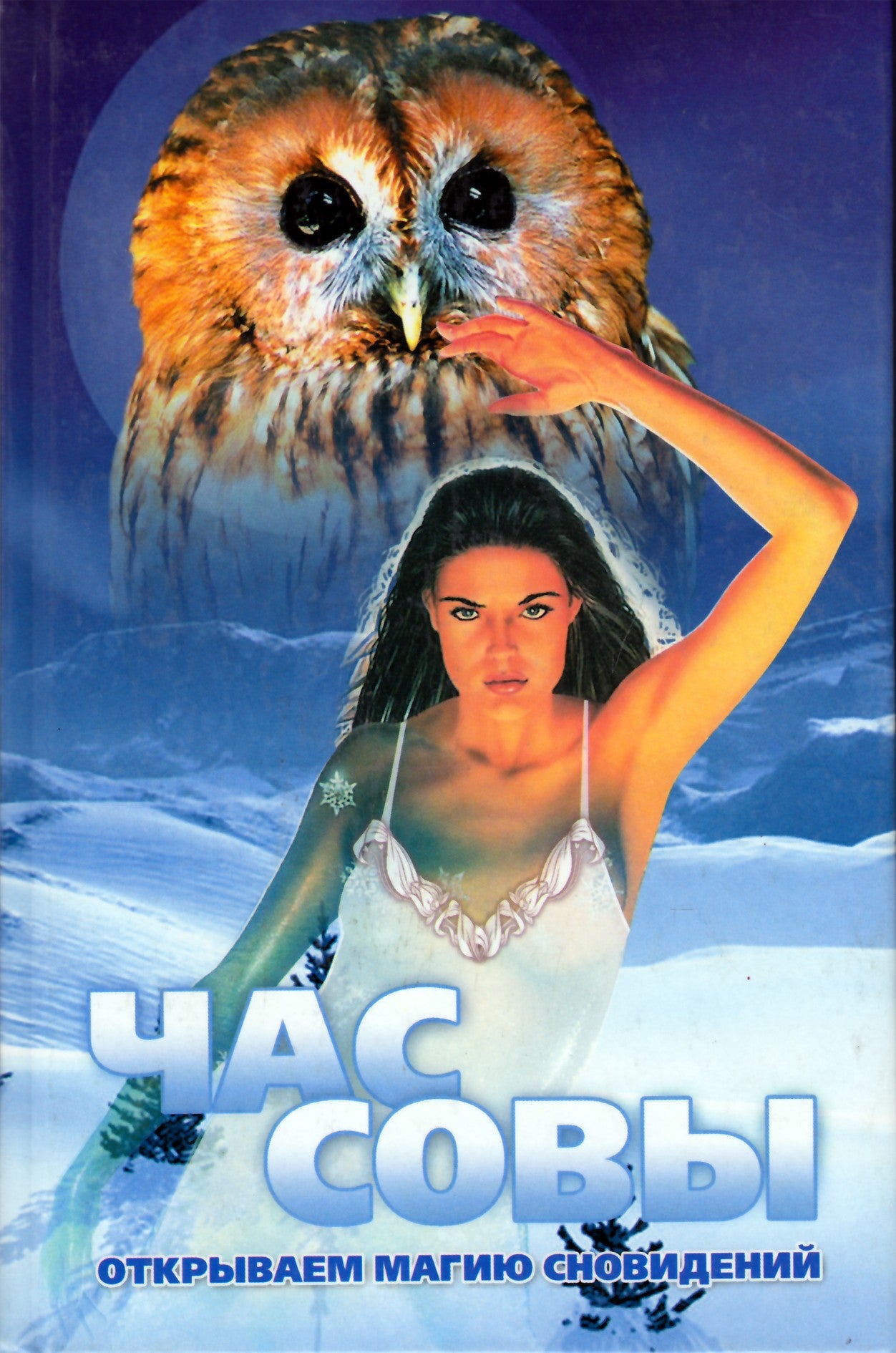 L. I. Slavgorodskajos „Pelėdų valanda: sapnų magijos atradimas“