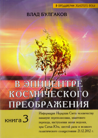 Vladas Bulgakovas 3 „Kosminės transformacijos epicentre“