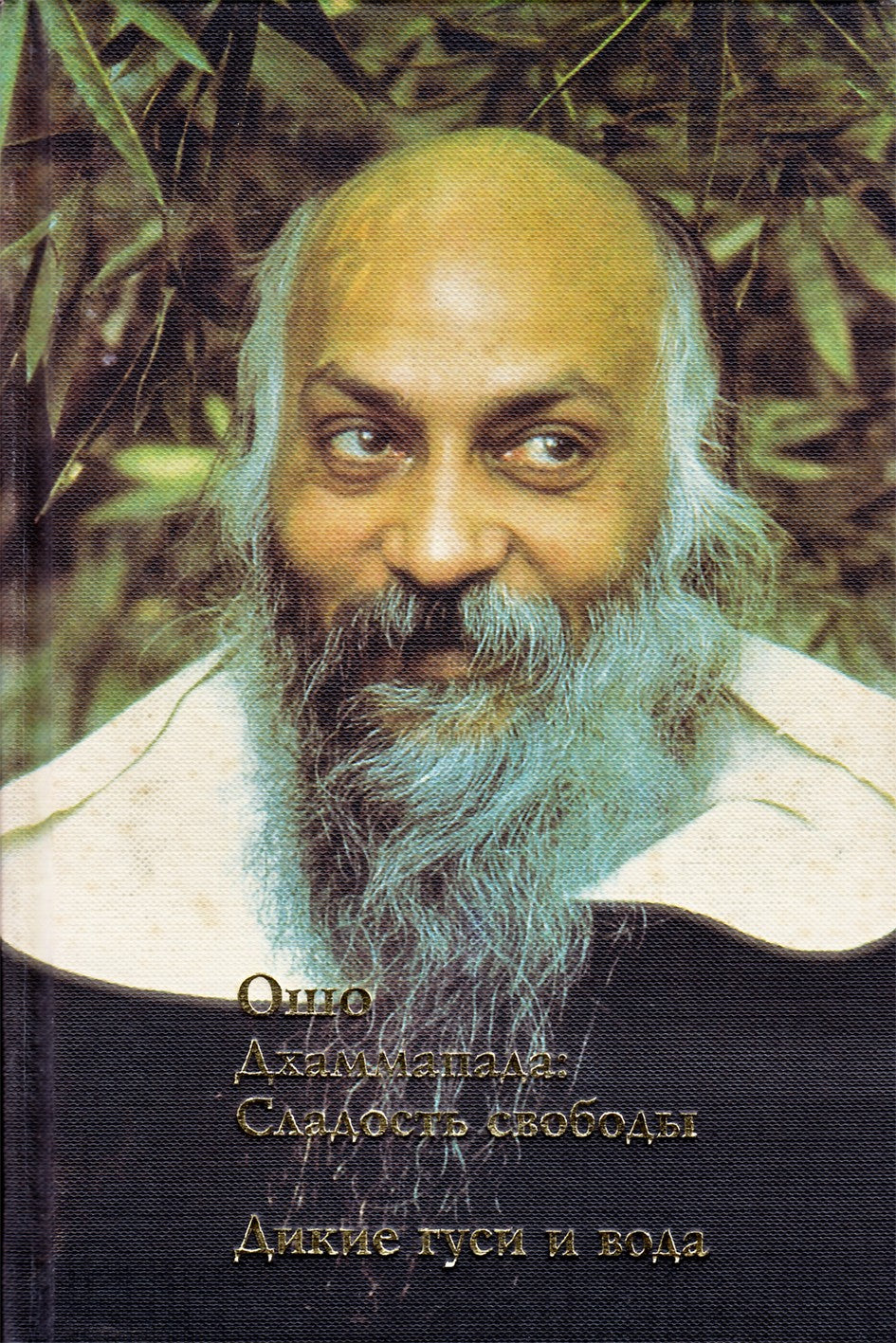 Ošo "Dhammapada: laisvės saldumas. Laukinės žąsys ir vanduo"