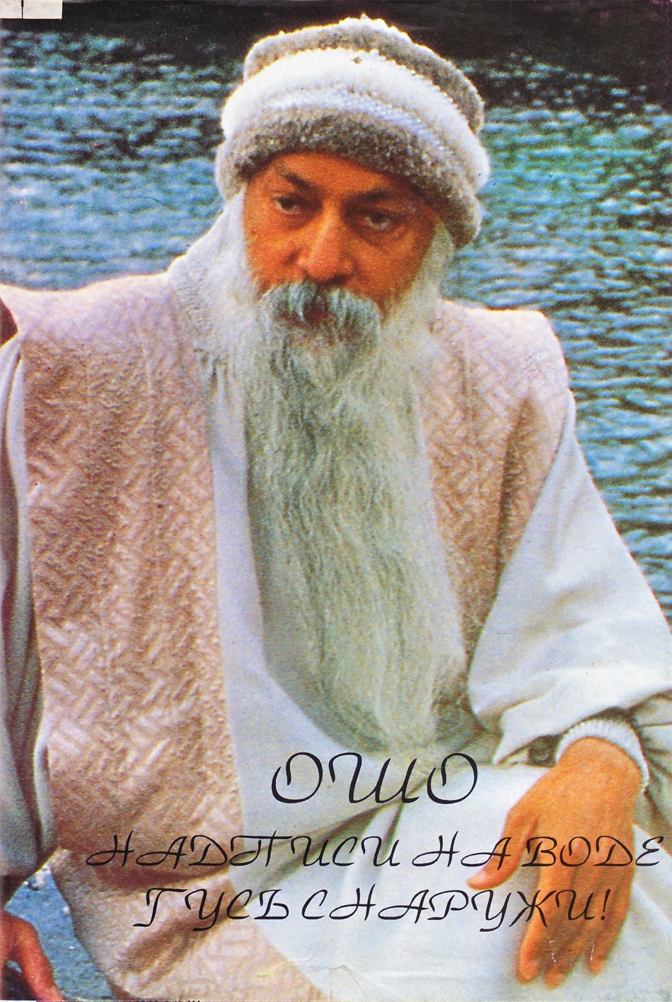 Ošo "Užrašai ant vandens. Žąsys lauke"