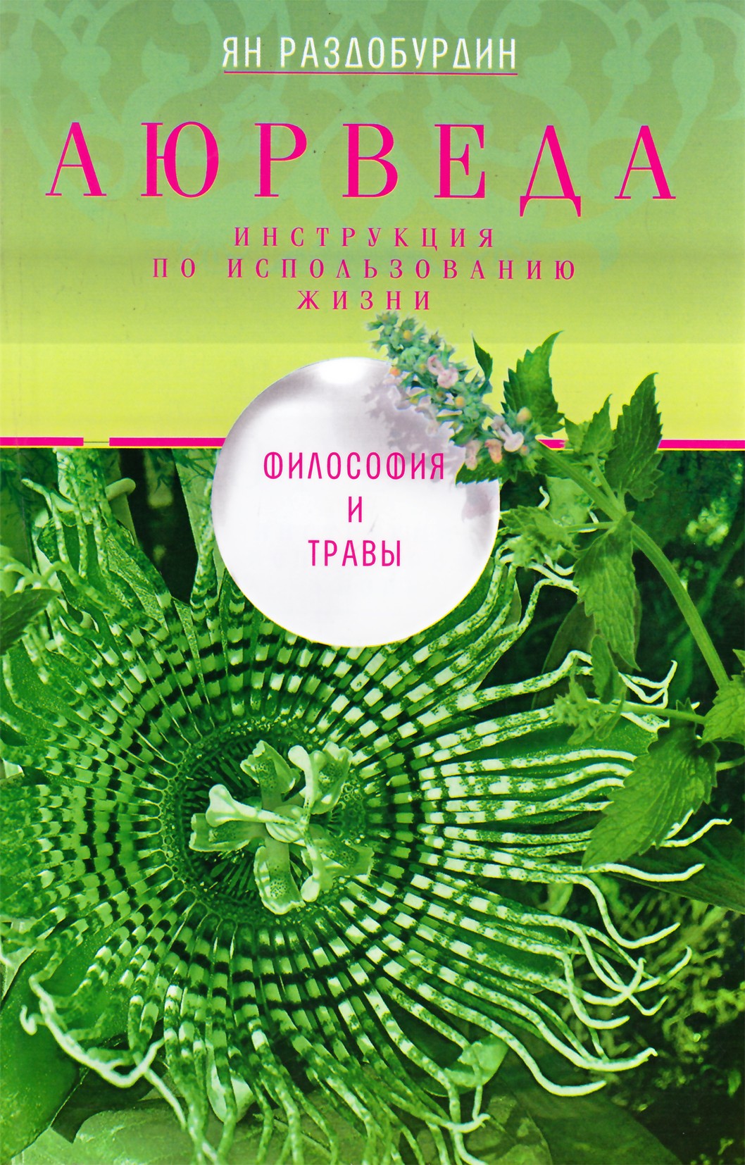 Ян Раздобурдин "Аюрведа. Философия и травы"