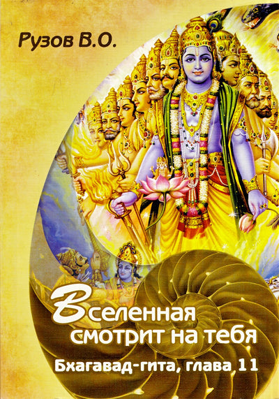 Вячеслав Рузов "Вселенная смотрит на тебя: Семинар по 11 главе "Бхагавад-гиты"