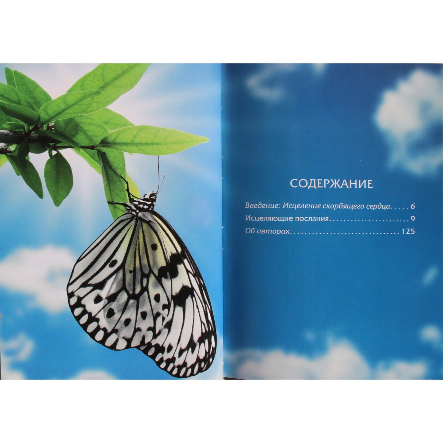 Doreen Virtue „Kaip išgydyti sielvartaujančią širdį“ (spalva)