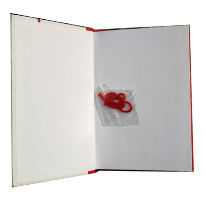 Yehuda Berg „Raudonoji gija“