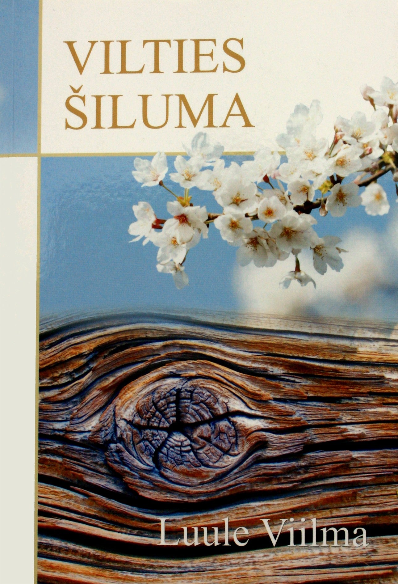 Luule Viilma "Vilties šiluma"