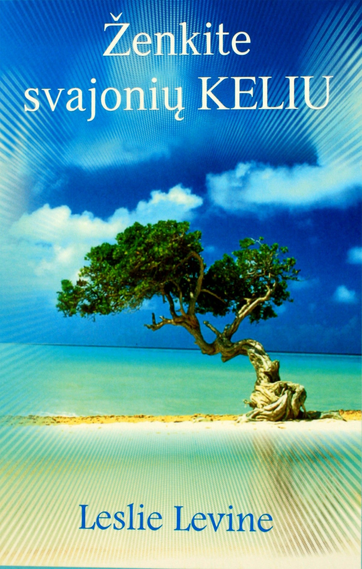 Leslie Levine "Ženklite svajonių keliu"