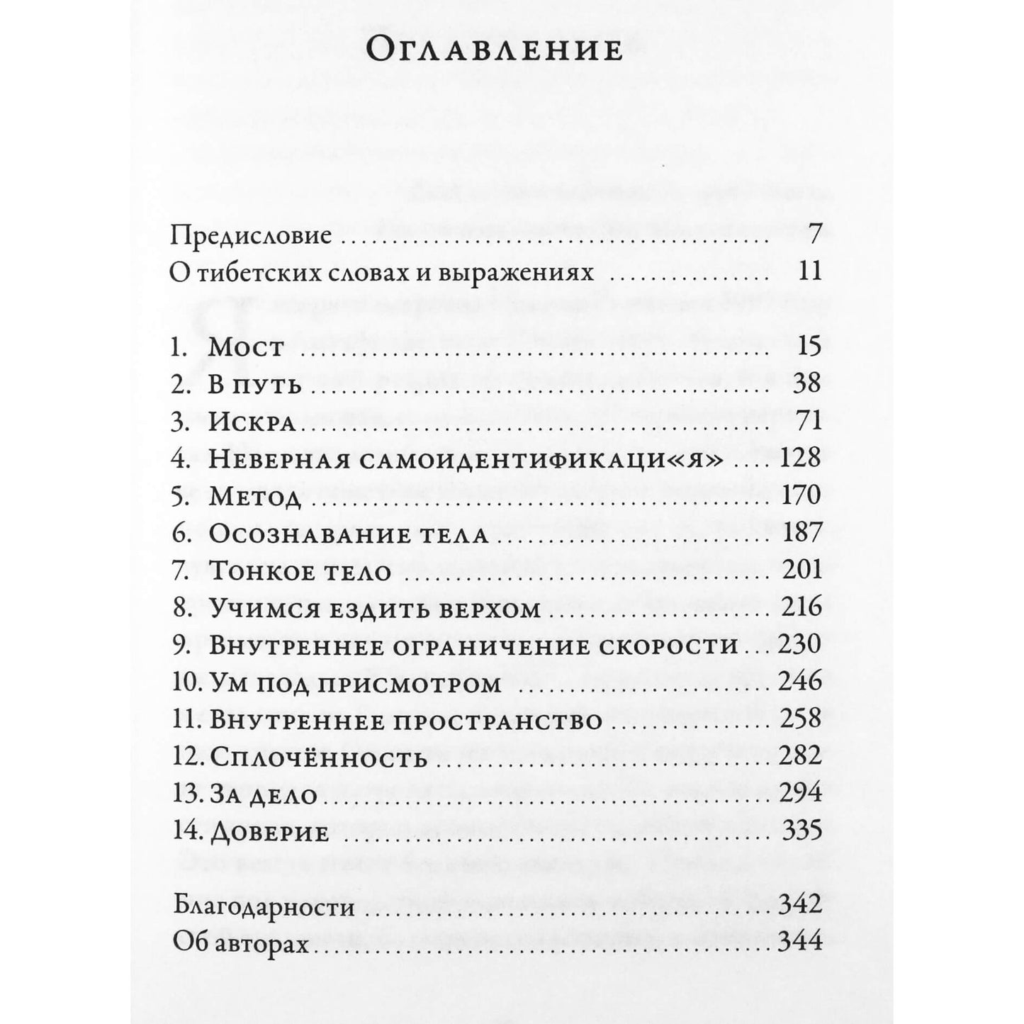 Tsoknyi Rinpočė "Atvira širdis. Atviras protas. Pažadinkite esminės meilės galią"