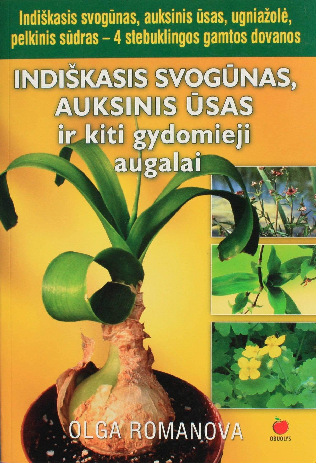 Olga Romanova "Indiškasis svogunas, auksinis ūsas ir kiti gydomieji augalai"
