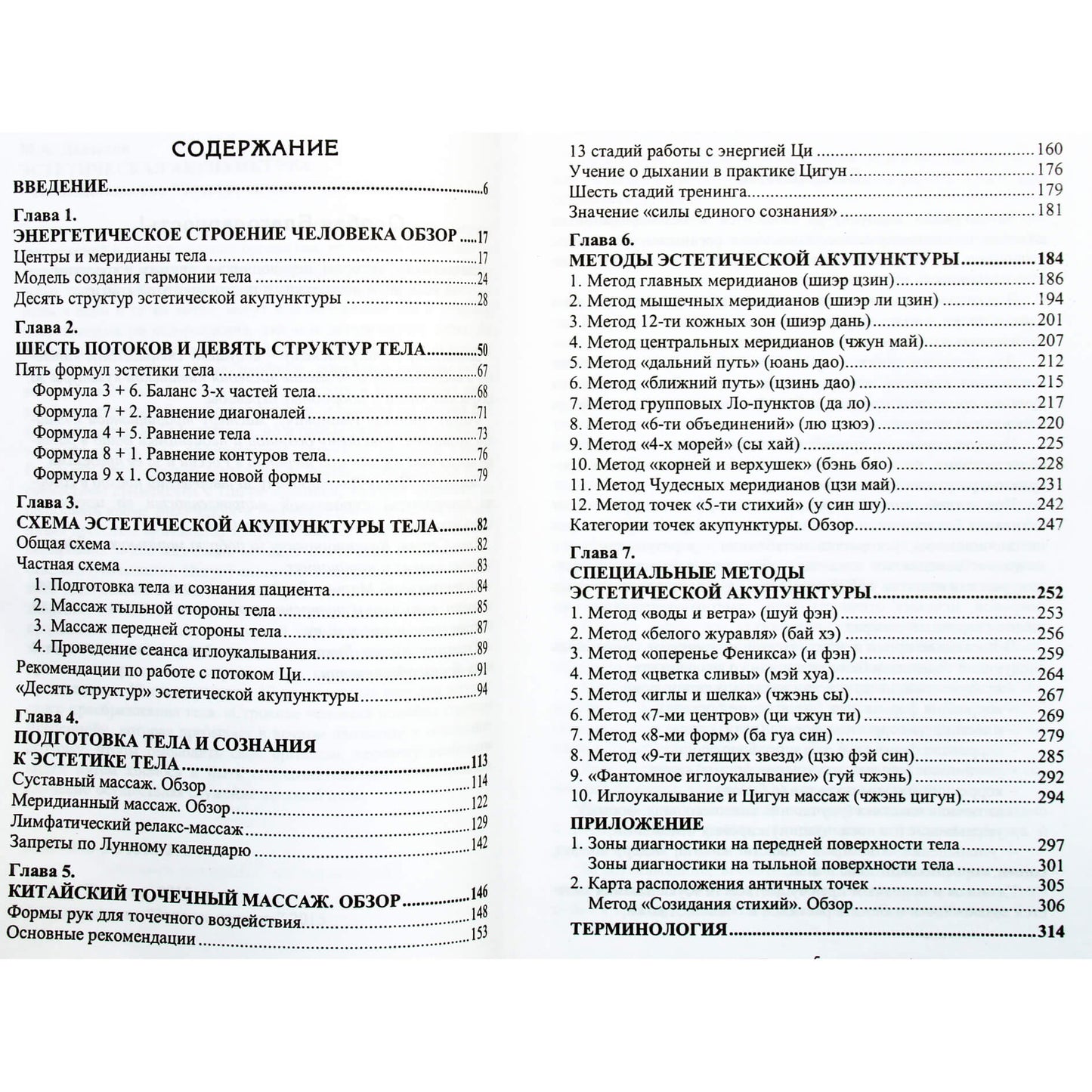 Michailas Davydovas „Estetinė akupunktūra“