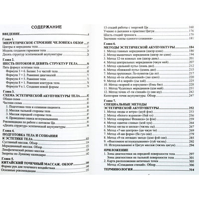 Michailas Davydovas „Estetinė akupunktūra“