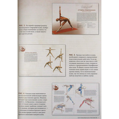 Ray Long „Vinyasa srauto ir stovimų asanų anatomija“