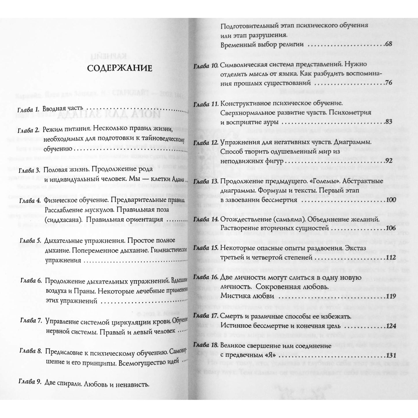 С. Карнейц "Йога для Запада"