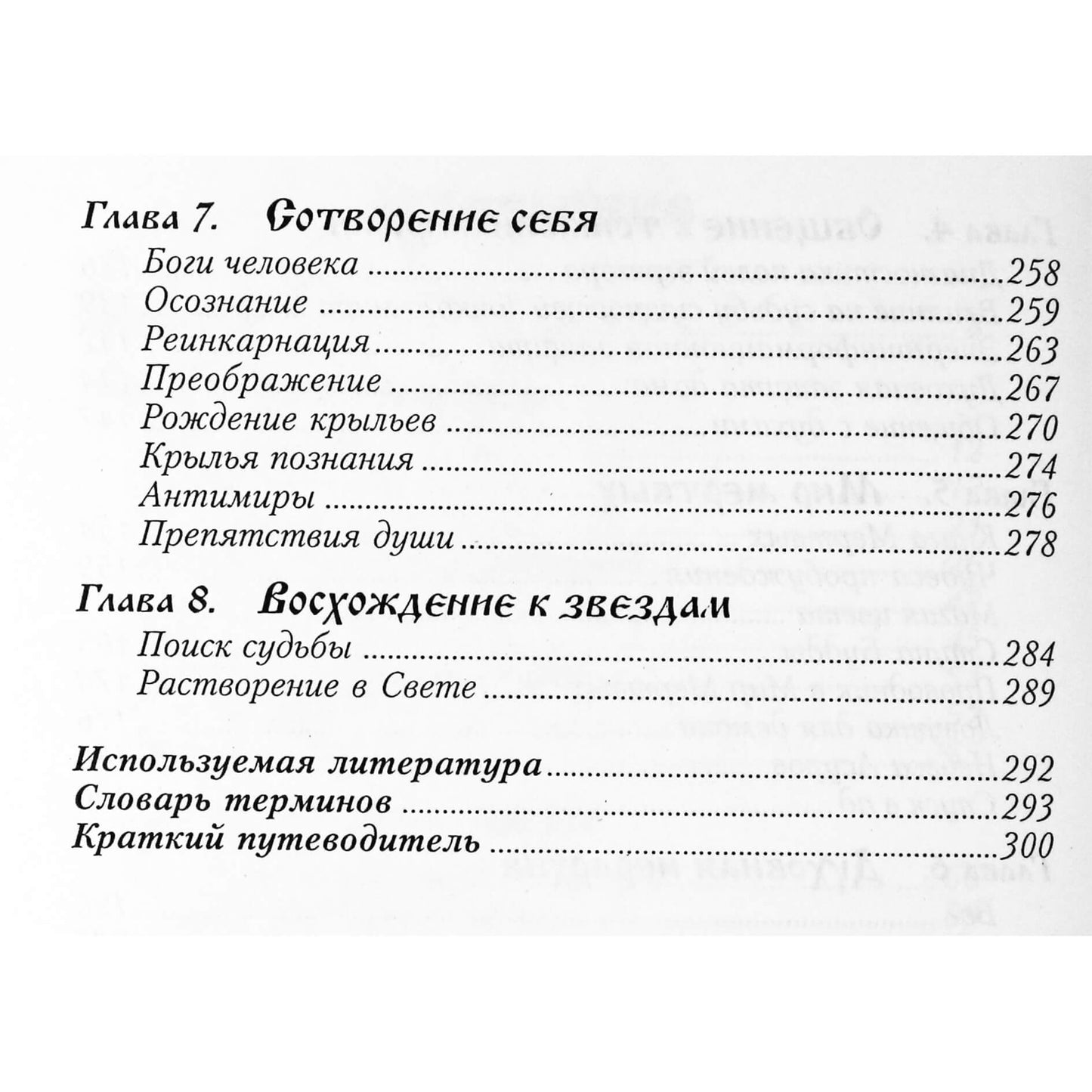 Роман Доля "Ангелы души. В поисках чуда"