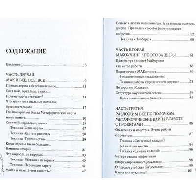 Evgenia Eliseeva "MACaouching. 55 būdai dirbti su metaforiniais asociatyviniais žemėlapiais"