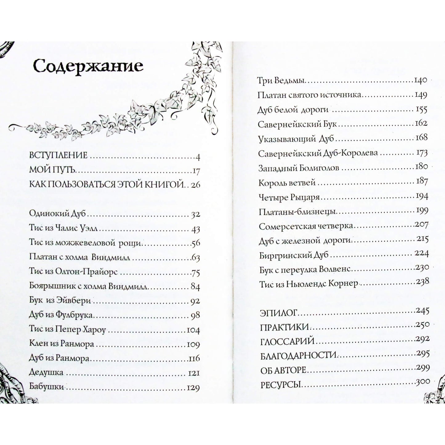 Холли Уортон "Магия леса. Секреты общения с деревьями"