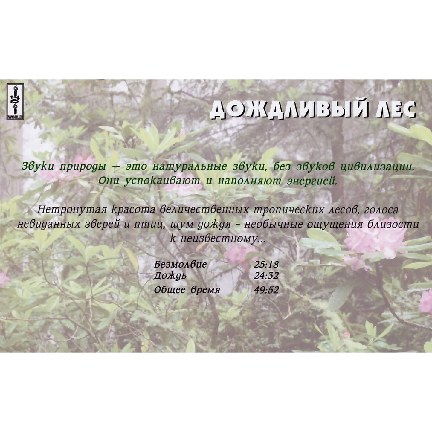 Звуки природы / Дождливый лес