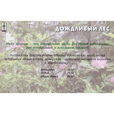 Звуки природы / Дождливый лес